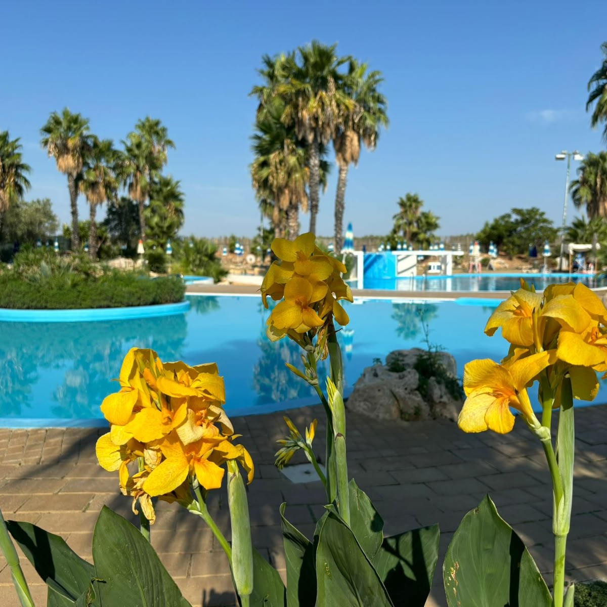 Piscina 2